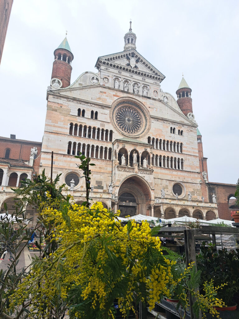 Cremona