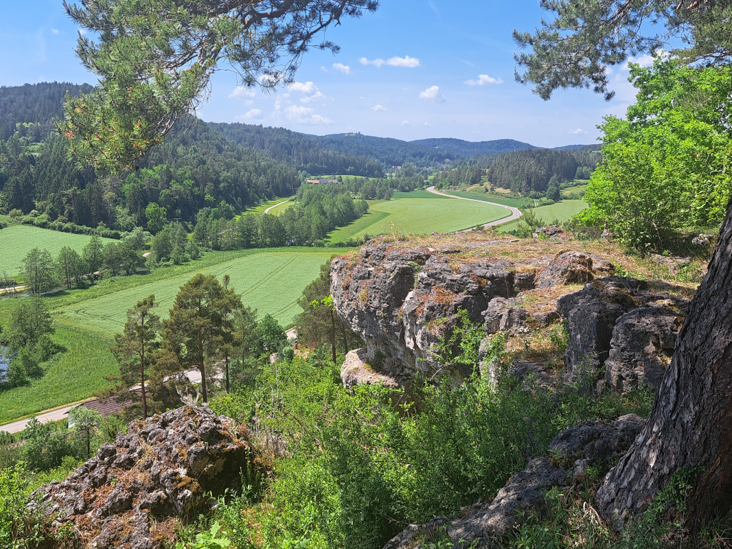 Auf dem Wacholderwanderweg