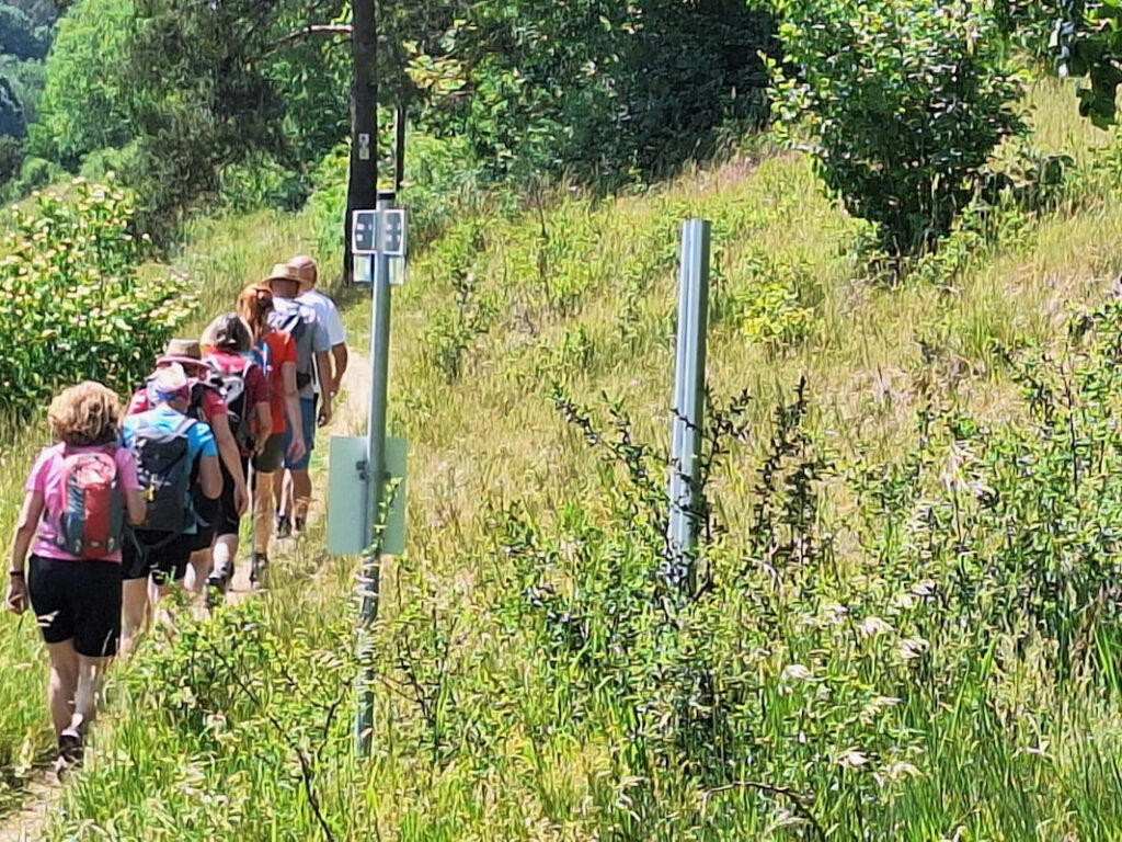 Die Amici auf dem Wacholderwanderweg